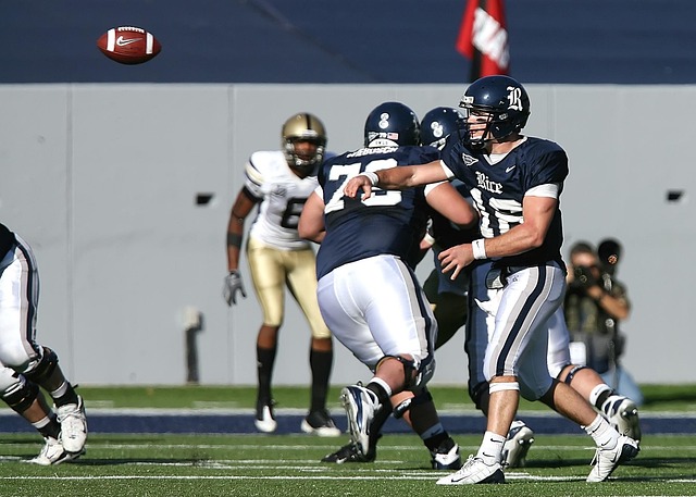 种传球技术 种传球技术